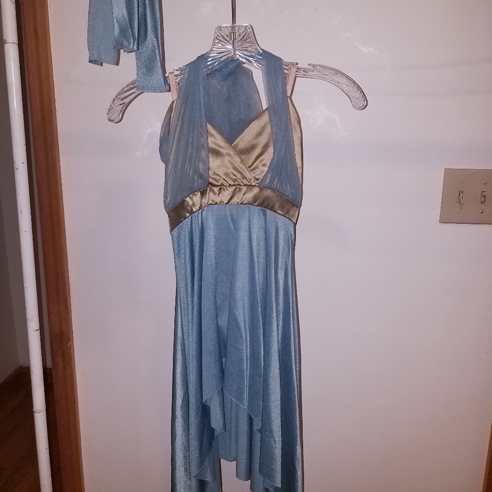 Blue and gold childs costume
